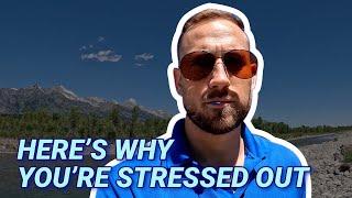 Heres Why Youre So Stressed Out