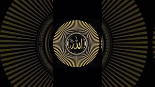Beautiful  ️ Whatsapp Status #islamicvideo #viralvideo #islamiclecture #history #ytshorts