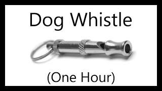 Dog Whistle 1 Hour