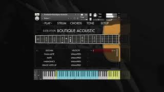 Evolution Boutique Acoustic - Oren Bridge