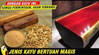 7 JENIS KAYU BERTUAH DARI INDONESIA