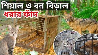 শিয়াল ও বন বিড়াল ধরার ফাঁদ।। Traps for catching foxes and forest cats।। Trap।। Trap for foxes ।।