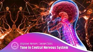 Harmonize Your Central Nervous System  Improve Brain-spinal Cord-nerve Connections  Music Therapy