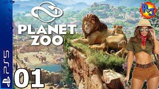 Lets Play Planet Zoo Console Edition  PS5 Gameplay Episode 1  Lions Tigers & Bears Oh My P+J