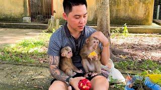 Monkey Kaka and Mit are happy with their rare time with father