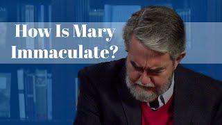 Scott Hah Discusses the Immaculate Conception
