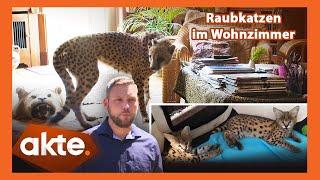 Die Tigerkings von Deutschland Undercover bei illegalen Raubkatzen-Verkäufen  Akte  SAT.1