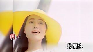 陳小雲  愛情的騙子我問你 KTV 高清修復版