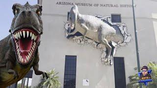 Explore The Wonders Of Arizonas Natural History Museum #vlog