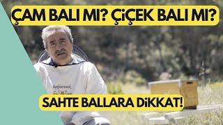 ÇAM BALI MI ÇİÇEK BALI MI DAHA İYİ? SAHTE BALLARA DİKKAT NASIL ANLARIZ?