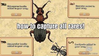 How to capture all the rare  creatures in pocket ants.