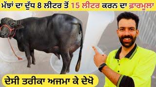 ਮੱਝਾਂ ਦਾ ਦੁੱਧ ਵਧੋਂਣ ਦਾ ਤਰੀਕਾ  how to increase buffalo milk  Kitta khetibadi  Dairy farm