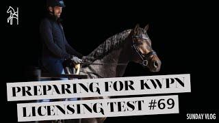 Preparing this Stallion  for the KWPN Licensing Test  Begijnhoeve  Sunday Vlog #69