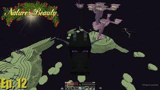 Natures Beauty Ep. 12 - Elytra