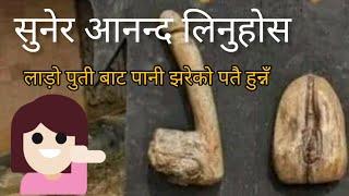 नेपाली छाडा भीडियोimo xada video voice of desh Bidesh