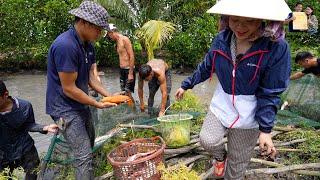 Bơm Ao Kéo Lưới thu hoạch Ao Cá Đồng ở quê nhà Phan Diễm ăn toàn món ngon dân dã đồng quê Miền Tây