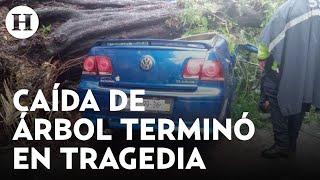 Rescatan a niño tras caída de árbol que aplastó a un vehículo en CDMX la madre falleció