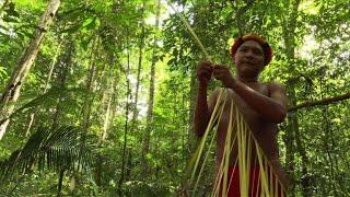 For Amazon tribe rainforest provides everything they need