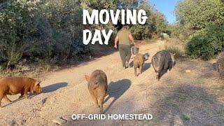 OFF-GRID HOMESTEAD  A BIG MOVE