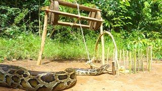 Best unique diy snake trap make from wood - Easy make a snake trap