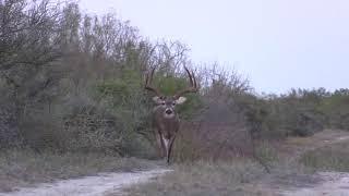 200 8 point with drop tines