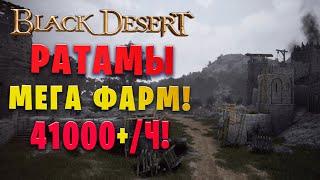 ПОНЕРФИЛИ. Ратамы  2 свиток  без агриса 41000+ Страж в наследии Black Desert