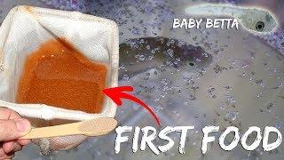 BETTAFISH BREEDING PART 4 - HATCHING OF EGGSBETTA  FIRST FOOD HATCHING  BRINE SHRIMPS 