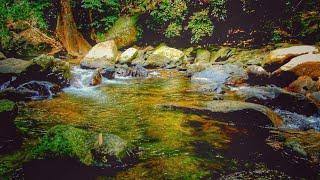 เสียงน้ำตก เสียงน้ำไหล เสียงธรรมชาติสำหรับพักผ่อนทำสมาธิ-Waterfall Nature SoundWater SoundRelaxing