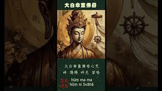 大白傘蓋佛母心咒 #大白傘蓋佛母堅甲咒 #buddha #男聲 #梵文 #mantras