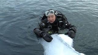 Diving Antarctica  JONATHAN BIRDS BLUE WORLD