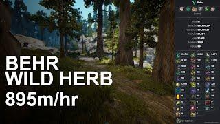 BDO Per Hour Money  Gathering - Behr Wild Herb