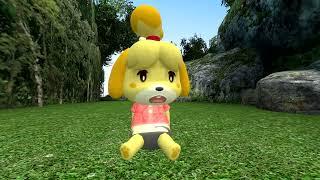 SFM Isabelle growth