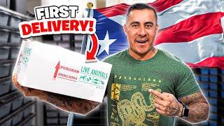 Our First EVER Delivery From Puerto Rico