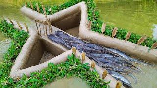 Unique Amazing Easy Fish Trap  Unique Easy Fish Trap System 2022