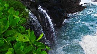 Kauai Waterfall on Ocean Waves  Hawaiian Water Sounds for Sleep & Relaxation
