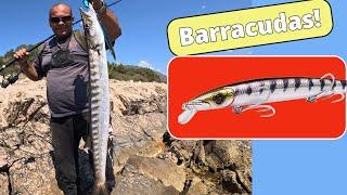 Rock Heavy Spinning BARRACUDAS in the Shallows Tips Tricks & Barra Jerk