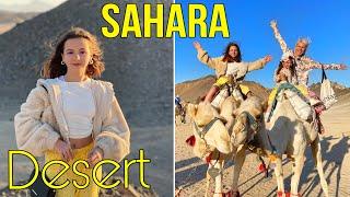 БЕДУИНЫ. Как живут люди в пустыне? ЕГИПЕТ  Living in the SAHARA DESERT
