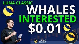 WHALES INVOLVEMENT IN LUNA ALREADY CHANGING ALOT ABOUT LUNA CLASSIC