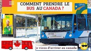 COMMENT PRENDRE LE TRANSPORT EN COMMUN À MONTRÉAL AU CANADA  LE BUS ? ALLONS ESSAYER...