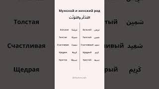 Мужской и женский род  слова на арабском языке