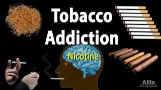 Tobacco Addiction Nicotine and Other Factors Animation