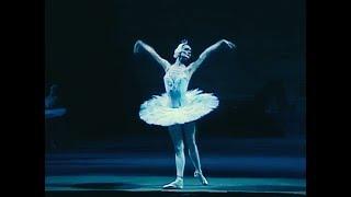 Tchaikovsky Swan Lake Bolshoi Ballet Moscow 1989