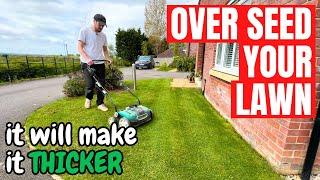 How to OVER SEED your LAWN - a simple approach