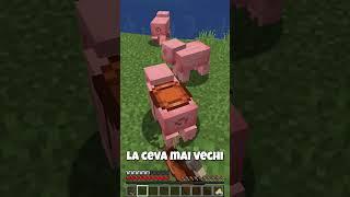 INCA 5 ITEME DE CARE AI UITAT #shorts #minecraft