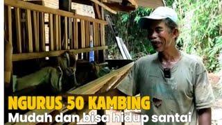 Ternak kambing hidup paling santai dan cepat kaya