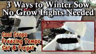 What is Winter Sowing and How Do You Do It - Made Easy  The Milk Jug Pet Food Container & The Tote
