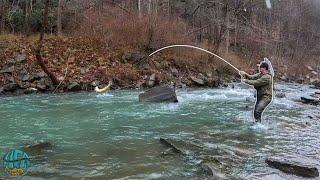 I FOUND A GIANT TROUT Streamer Fly Fishing For Brown Trout