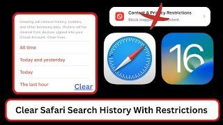 How to Delete Search History on Safari With Restrictions  iOS 17  2024