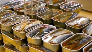 Como a SARDINHA enlatada é produzida  Processo de produção  da sardinha enlatada.