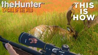 I hunted EVERY SPECIES  on HIRSCHFELDEN in the game on theHunter Call of the Wild EP1